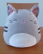 Squishmallow large tabby for sale  CHESTER LE STREET
