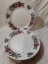Monarch china montana for sale  Lowell