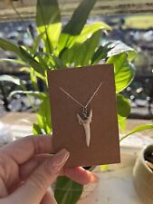 Shark tooth necklace for sale  NEWCASTLE UPON TYNE