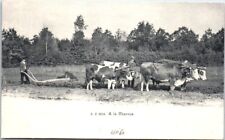 Agriculture charrue d'occasion  France