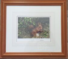 Nuts red squirrel for sale  ALTON