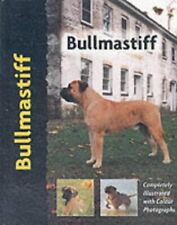 Bullmastiff cunliffe juliette for sale  AMMANFORD