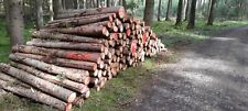 Stammholz brennholz ster gebraucht kaufen  Reichertshausen