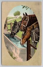 1919 postcard horses for sale  Muncie