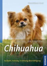 Chihuahua gebraucht kaufen  Berlin