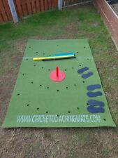Cricket coaching mat for sale  HOLMFIRTH