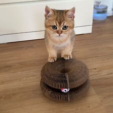 Katzenspielzeug rgel katzenkra gebraucht kaufen  Taunusstein