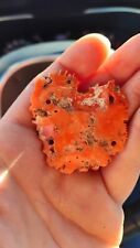 Ciondolo corallo giapponese usato  Castelfranco Emilia