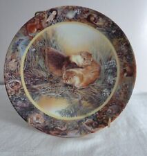 Otters collectible plate for sale  NORTH TAWTON
