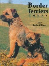 Border terriers today for sale  UK