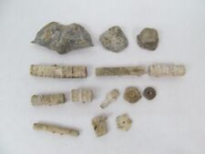 Lot crinoid stems for sale  Gladys