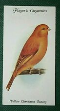 YELLOW CINNAMON CANARY  Cage Bird  Vintage Card  EB19P segunda mano  Embacar hacia Spain