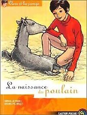 3453485 clara poneys d'occasion  France