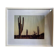 Minimalist desert framed for sale  Woodland Hills