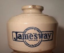 Antique jamesway chicken for sale  Copenhagen