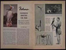 American Hawk PEREGRINE FALCONS 1941 FALCONRY pictorial for sale  Shipping to South Africa