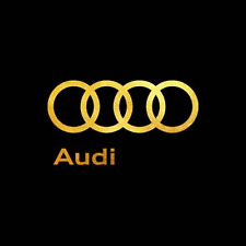 Audi radio code gebraucht kaufen  München