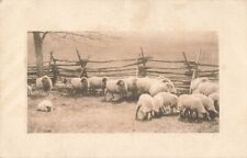Postcard embossed sheep for sale  Valdese