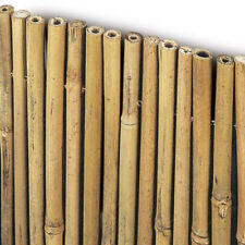 Arella cannette bambu usato  Putignano
