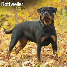 Calendrier 2024 rottweiler d'occasion  Troyes