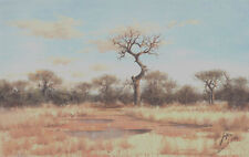 Used, Nico Coetzee - 1988 Oil, South African Landscape for sale  Shipping to South Africa