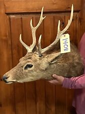 Vintage sika deer for sale  Harper