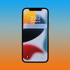 Bueno - Smartphone Apple iPhone 12 64GB - Negro (Verizon SOLAMENTE) - Envío Gratuito, usado segunda mano  Embacar hacia Argentina
