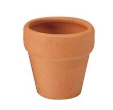 Mini terracotta ceramic for sale  NOTTINGHAM