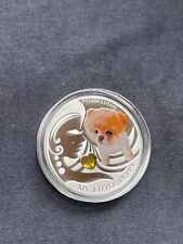 Pomeranian litte pupp gebraucht kaufen  Sulzbach/Saar