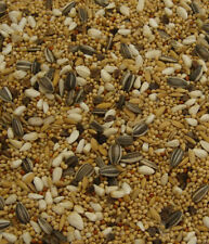 Exotic bird mix for sale  PETERSFIELD