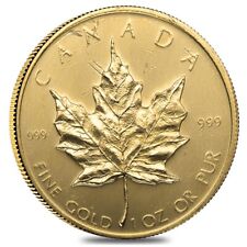 Canadian gold maple for sale  New York
