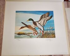 Richard timm mallards for sale  Meridian