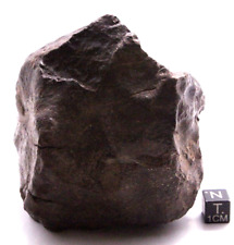 Meteorite nwa chondrite for sale  NEWTOWNABBEY