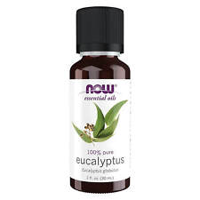 Eucalyptus globulus oil for sale  Shipping to Ireland