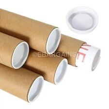 Poster tubes end for sale  Shipping to Ireland