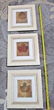 Framed autumn leaf for sale  Yulee