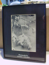 Ansel adams photography for sale  Traverse City