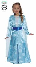 Costume frozen elsa usato  Lamezia Terme