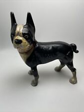 Boston terrier dog for sale  Bumpass