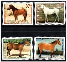 Sénégal 2002 chevaux d'occasion  France