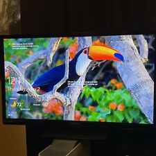 screen flat lcd tv for sale  Kissimmee