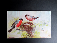 Pair bullfinches maude for sale  HARROW