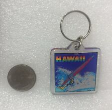 Hawaii windsurfing plastic for sale  Pelham