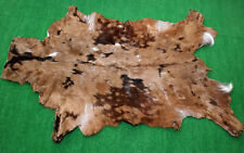 Used, New Goat hide Rug Hair on Area Rug Size 36"x22" Animal Leather Goat Skin U-6127 for sale  Shipping to South Africa