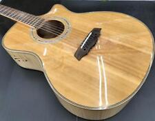 Used, LANDSCAPE acoustic guitar SPT-CST for sale  Shipping to South Africa