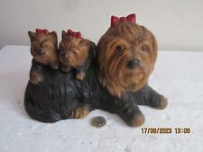 Mother yorkshire terrier for sale  POOLE