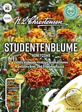 Studentenblume samen honeycomb gebraucht kaufen  Wörrstadt
