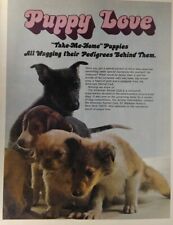 1973 print puppy for sale  Brooklyn