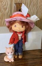 Strawberry shortcake doll for sale  Jenkintown