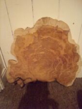 Giant yew slice for sale  IPSWICH